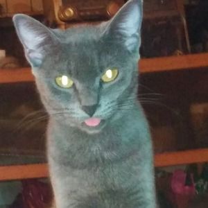 Meet your Posher, Cheryle